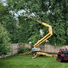 Artificial Turf Installation in Lone Pine, CA