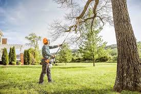 Best Seasonal Cleanup (Spring/Fall)  in Lone Pine, CA