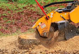 Best Lawn Maintenance Plans  in Lone Pine, CA